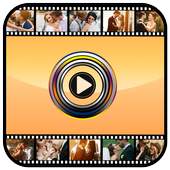 Best Video Maker 1.0