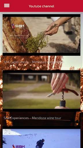 Sak Travel screenshot 3