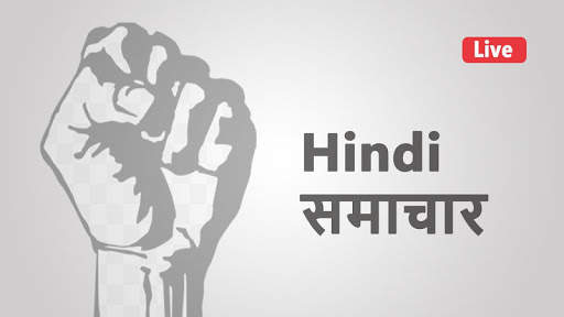 Hindi news screenshot 3
