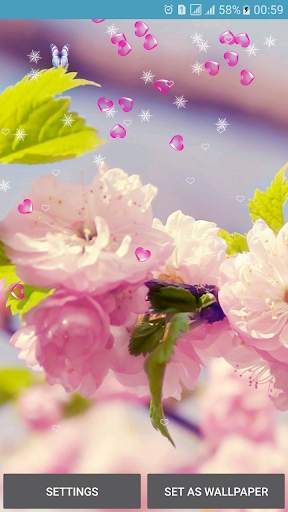 Flower Spring Live Wallpapers screenshot 2