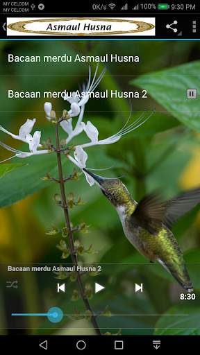 Asmaul Husna скриншот 1