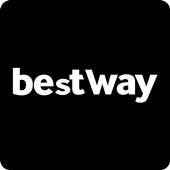 Bestway 1.0