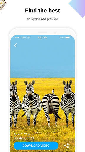 HD Animal Video Wallpaper screenshot 5