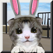 ChoCho Cat icon