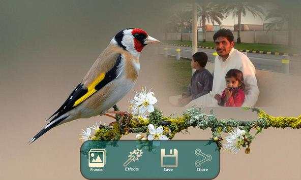 Birds Photo Frames स्क्रीनशॉट 9