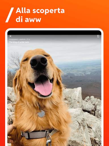 Reddit screenshot 4