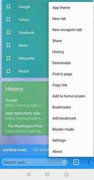 Internet Browser screenshot 2