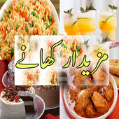 Pakistani Recipes Urdu icon