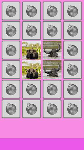 Buffalo Memory Game screenshot 2
