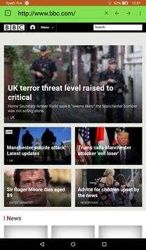 Blaze Web Browser screenshot 2