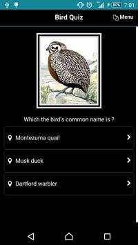 Bird Quiz screenshot 1
