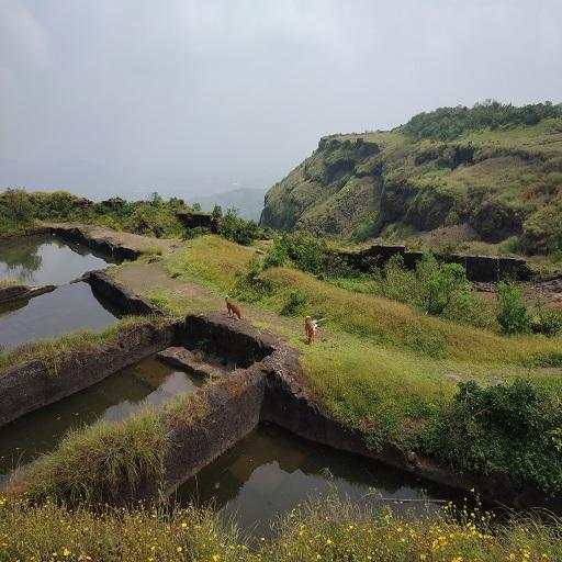 Visapur Fort 1.1