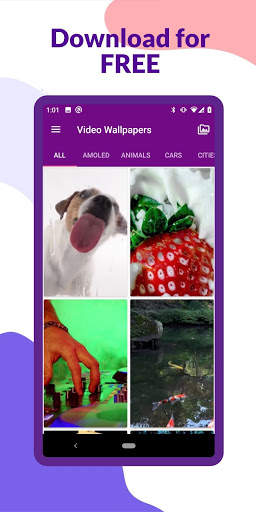 Video Wallpapers screenshot 2