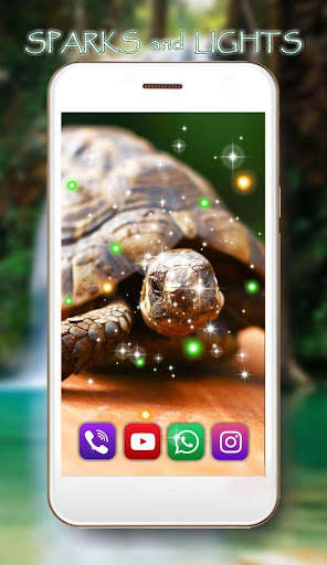 Turtles Cute Live Wallpaper screenshot 4