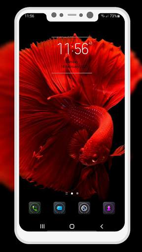 Betta Fish Wallpaper screenshot 12