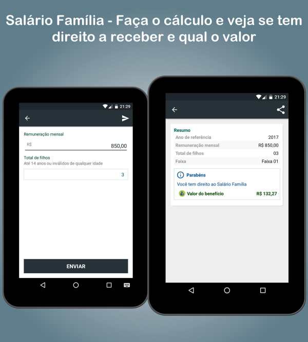 Consulta INSS Fácil - Extrato Previdência Social screenshot 8