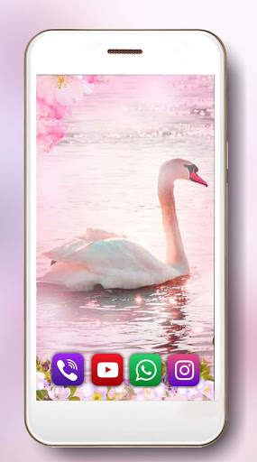Spring Swans Live Wallpaper screenshot 3