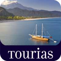 Top 100 Travel Guides logo