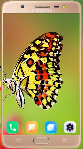 Butterfly Wallpaper Best HD screenshot 4