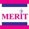 Merit Institute 1.1.1