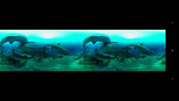 ANTVR screenshot 5