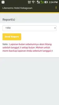LITE ROOMS OWNER REPORT screenshot 5