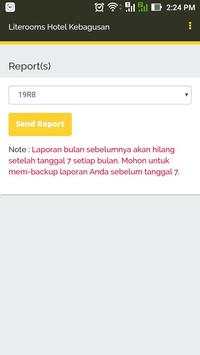 LITE ROOMS OWNER REPORT screenshot 5