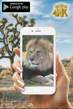 Digital Zoom Camera 360 Pro screenshot 2