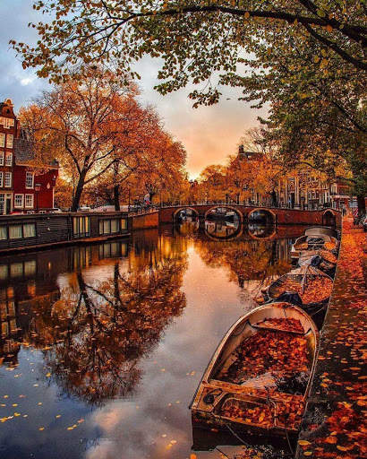 Free Jigsaw Puzzles For kids And Adults screenshot 3