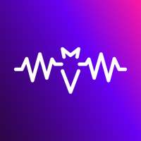 BizBat: Music Network & Gigs for you