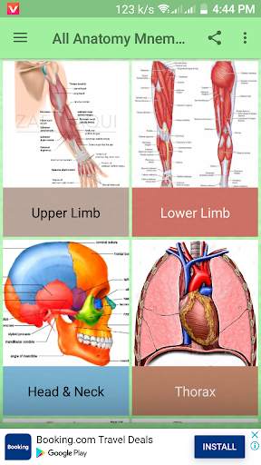 All Anatomy Mnemonic screenshot 2