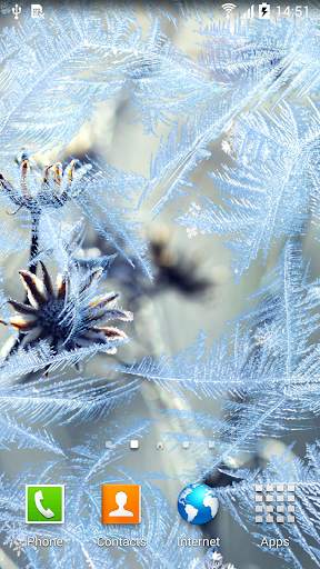 Winter Flowers Live Wallpaper screenshot 3