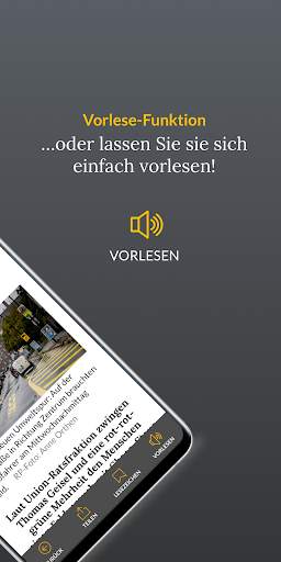 RP ePaper screenshot 4