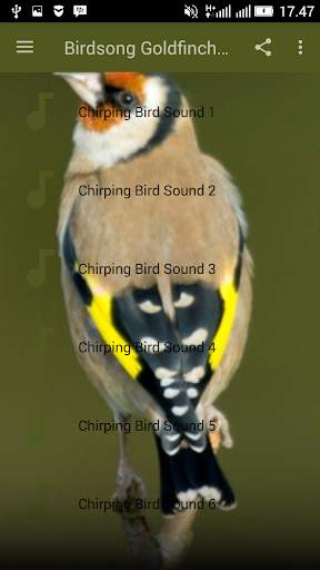 Birdsong Goldfinch New screenshot 2