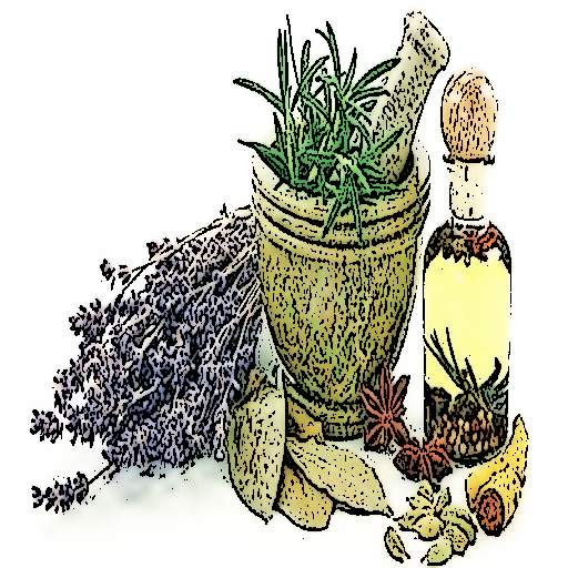 Herbal Prescriptions  1.3