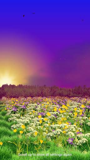 Midsummer Free LWP screenshot 6