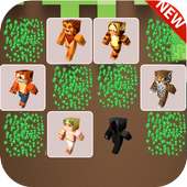 "Skins Craft" - Memory game logo