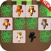 "Skins Craft" - Memory game 1.0