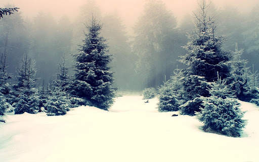 Winter Wallpapers | hd backgrounds screenshot 15