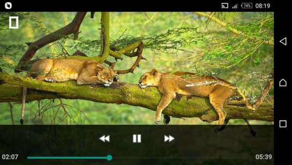 Video Folder Player screenshot 3