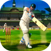 Cricket 2019 icon