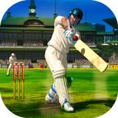 Cricket 2019 logo