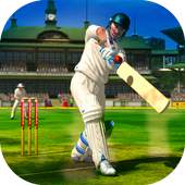 Cricket 2019 1.0