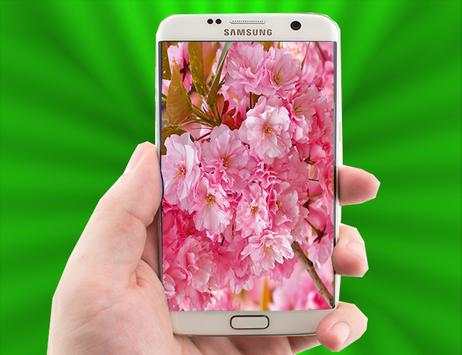 Sakura Live Wallpaper screenshot 2