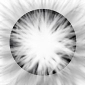 Flash Camera icon