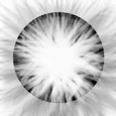 Flash Camera 1.2.4