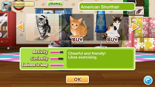My Cat My Room screenshot 4