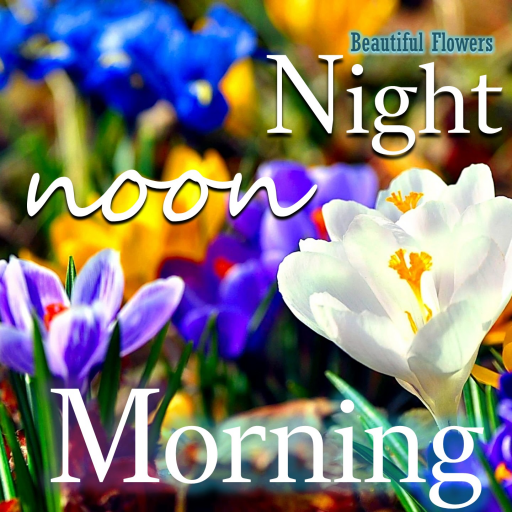 Good Morning Night flower wish icon