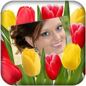 Tulip Photo Frames 1.0