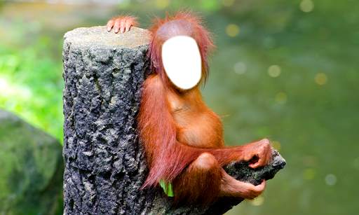 Funny Monkey Photo Montage screenshot 5